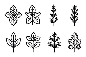 Set of eight stylized herb leaf icons on dark background
