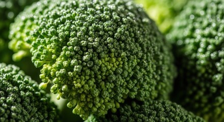 Close-up on fresh green broccoli florets, showing its intricate texture