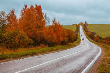 Scenic autumn road winding through colorful trees