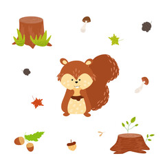 Forest animal squirrel holds an acorn in its paws, hand drawn with textures on a white background, stump, mushrooms,leaves,cones, acorns,for printing postcards,banners, advertising