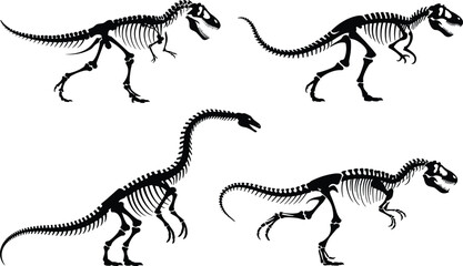 Dinosaur skeleton silhouette, fossil illustration, prehistoric bones, extinct species, paleontology art, black vector, anatomy study, museum graphic, science design, educational resource
