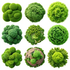 Fototapeta premium Nine spherical clusters of green trees and foliage arranged in a 3x3 grid on a white background.