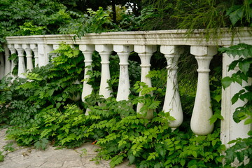 An old stone fence with white balusters in the garden. Old architectural details overgrown with plants.