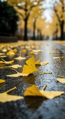 Ginkgo leaves fallen on the ground on a rainy day