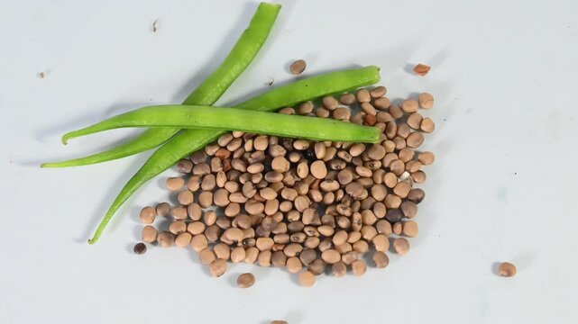 cluster beans or gawar phali(guar) and seed on the white background,cyamopsis tetragonoloba