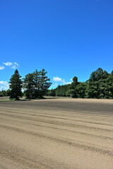 畑と夏空の風景（青森県）