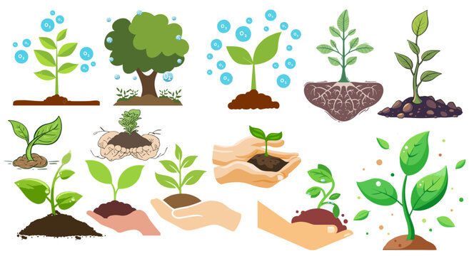 Set of growing plants and hands holding seedlings. Eco-friendly, sustainability, environment, green energy, and nature conservation concept illustration.

