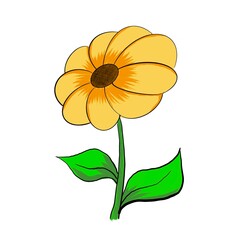 yellow flower isolated on white background