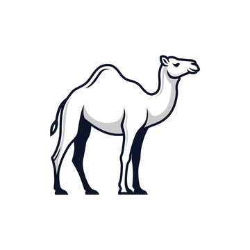 A striking vector illustration of a camel, depicted in a clean