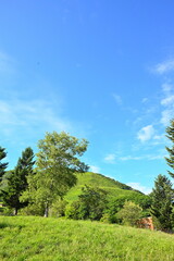 モヤヒルズキャンプ場の穏やかな自然風景（青森市）