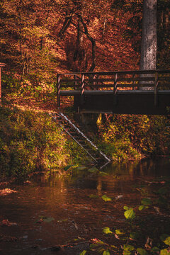 Br&uuml;cke mit Treppe im Herbstwald umgeben von Herbstbl&auml;ttern.