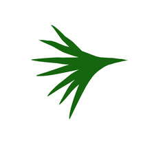 A green, abstract, fan-shaped leaf design
