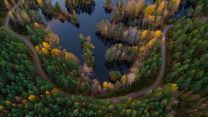 Aerial View of Winding Road Through Golden Autumn Forest Near a Finnish Lake.