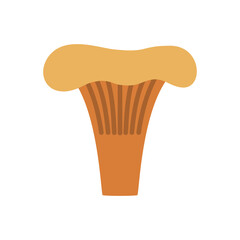 Mushroom chanterelle isolated design vector icon