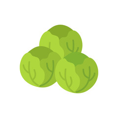 Brussels sprouts isolated design vector icon