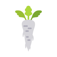 Parsley Root isolated vector icon. Vegetable sign