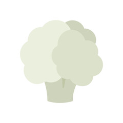 Cauliflower isolated vector icon. Vegetable sign