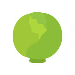 Cabbage isolated vector icon. Vegetable sign
