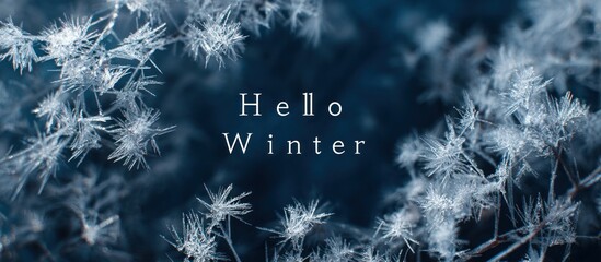 Elegant winter banner. The text "Hello Winter" appears to be made of delicate ice crystals on a dark blue background.