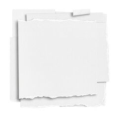 Blank white torn paper with ragged edges for text.