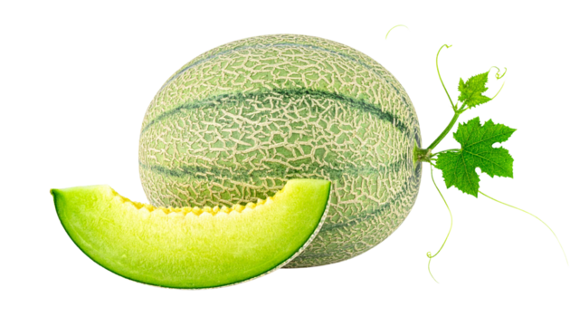 Pair of Fresh Honeydew Melons, Whole and Sliced – isolated on transparent background