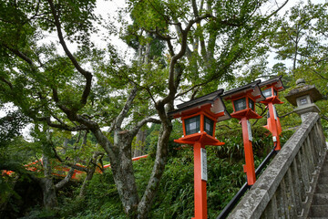 秋の鞍馬寺　石段と灯籠