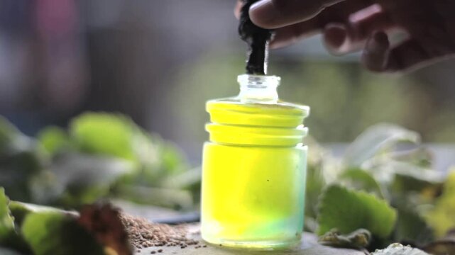 Trachyspermum ammi, Ajwain oil with leaves.