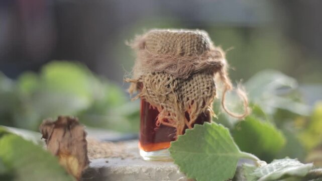 Close up of ayurvedic and medicinal extract/essence of Ajwain or Bishop’s weed or carom seeds in a transparent bottle with some fresh leaves of Trachyspermum ammi on black surface.