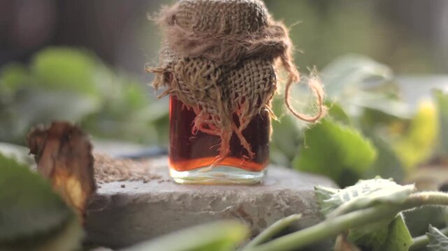 Close up of ayurvedic and medicinal extract/essence of Ajwain or Bishop&rsquo;s weed or carom seeds in a transparent bottle with some fresh leaves of Trachyspermum ammi on black surface.