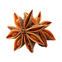 Close up of a dried star anise spice against a stark black background