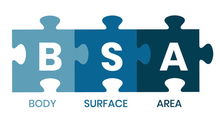 BSA - Body Surface Area acronym. business concept background. vector illustration concept with keywords and icons. lettering illustration with icons for web banner, flyer