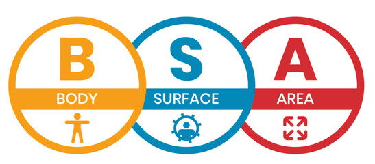 BSA - Body Surface Area acronym. business concept background. vector illustration concept with keywords and icons. lettering illustration with icons for web banner, flyer