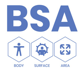 BSA - Body Surface Area acronym. business concept background. vector illustration concept with keywords and icons. lettering illustration with icons for web banner, flyer