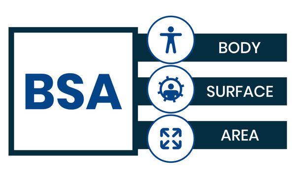 BSA - Body Surface Area acronym. business concept background. vector illustration concept with keywords and icons. lettering illustration with icons for web banner, flyer