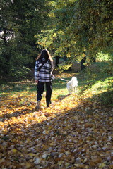 Fototapeta premium walk in the woods