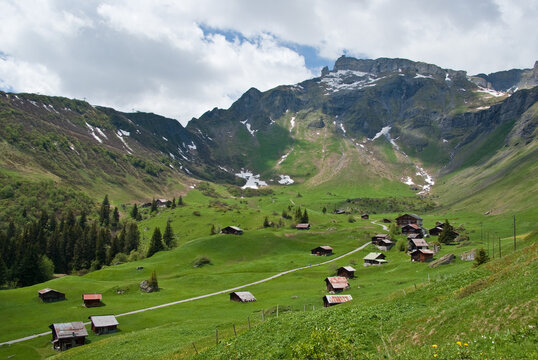 fejifebf rgr rg brgrg hhtjj