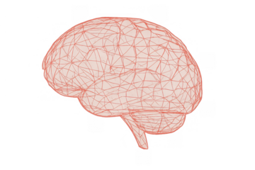 Brain wireframe representing artificial intelligence, thinking, and intricate neural network