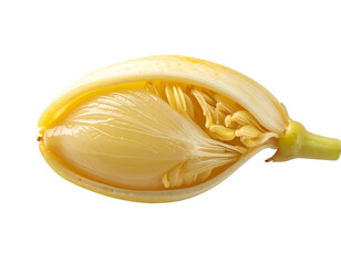 Sectioned, translucent fruit revealing fibrous interior. Yellow and green colors. Isolated on black