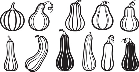 A collection of black and white illustrations of various squash and gourd shapes.