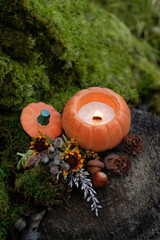 Burning scented candle in a pumpkin-shaped ceramic candlestick, flower, acorns, cones on stump outdoor. decor for mabon, samhain, halloween, thanksgiving, autumn holidays. witchcraft, magic ritual