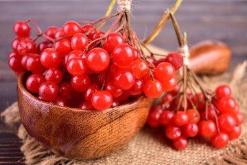 Viburnum berries in a wooden ladle on a dark background. Close-up.
