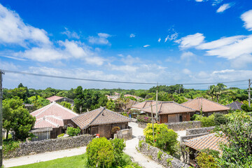 沖縄-【竹富島－竹富島の風景】