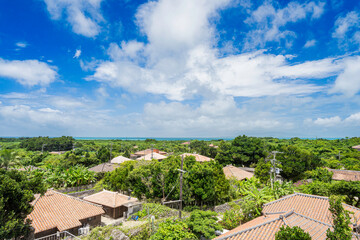 沖縄-【竹富島－竹富島の風景】