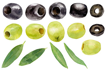 水彩で描いたオリーブの実と葉のイラストセット