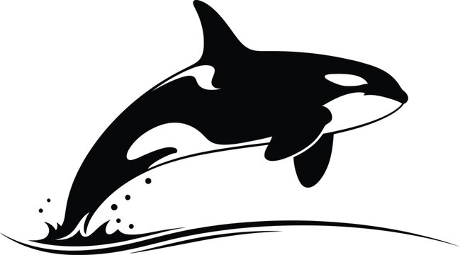 Majestic orca whale leaping through ocean waves dynamic silhouette for marine life enthusiasts flat design vector illustration isolated on transparent background