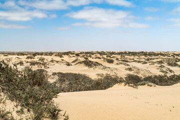 Ein Nachmittag im Namib-Naukluft-Nationalpark