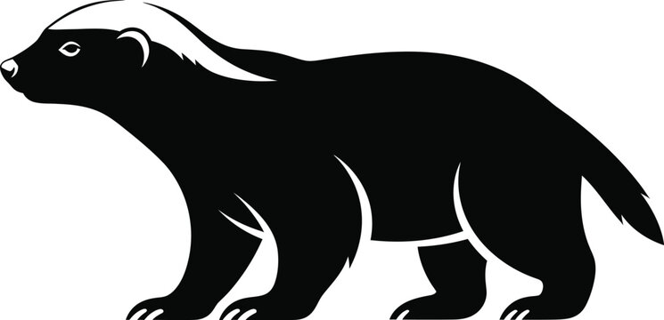 Bold silhouette of a honey badger standing facing left wildlife animal design flat design vector illustration isolated on transparent background