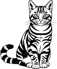 Adorable tabby cat sitting front facing with striped fur detailed sketch art flat design vector illustration isolated on transparent background