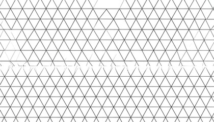 Fototapeta premium Adobe Illustrator Artwork