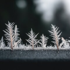 Frost-covered twigs against a blurred backdrop, showcasing the beauty of winter